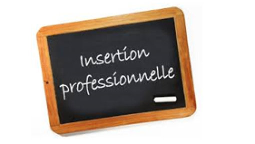 insertion professionnelle